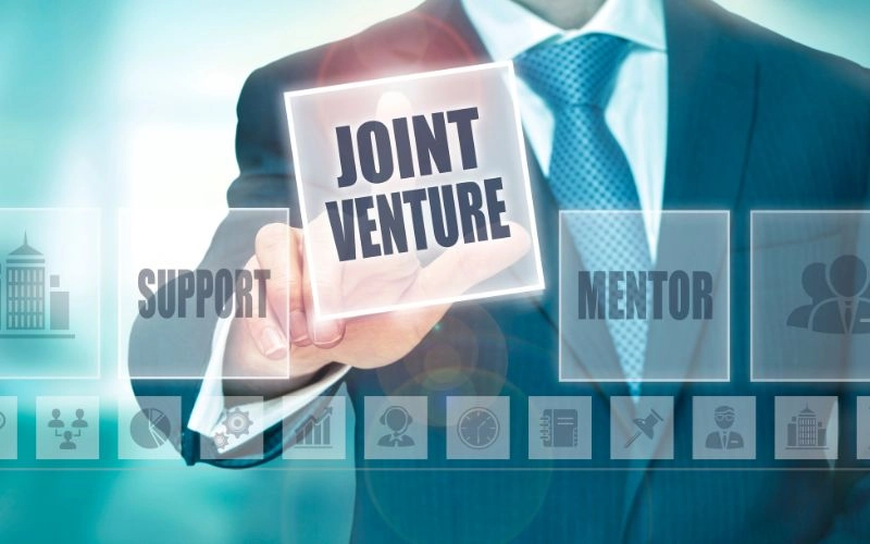 Establish a joint venture company in Vietnam