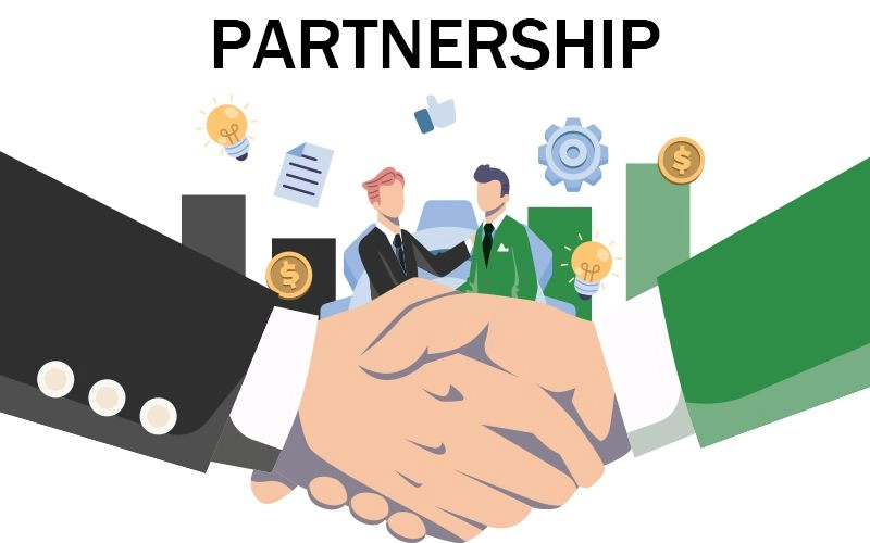 Establish a partnership company